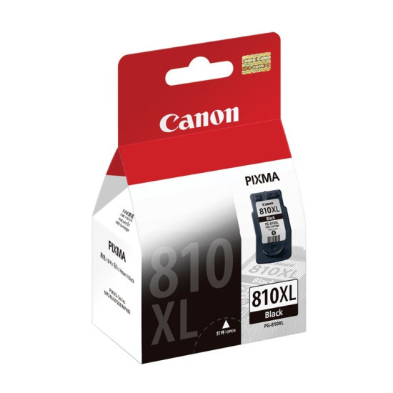 Ink Cartridge PG-810 Black