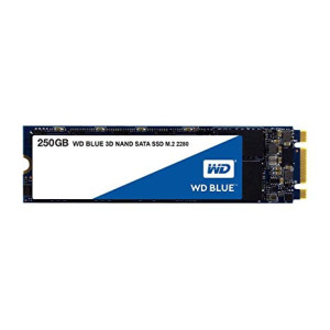 SSD BLUE M.2 250 GB [WDS250G2B0B]