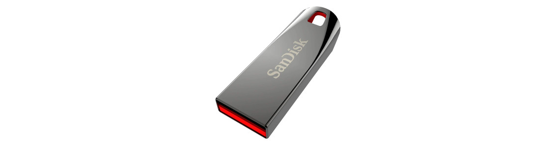 USB Flash Disk/Drive